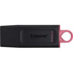 CLE USB KINGSTON DATATRAVELER PENDRIVE EXODIA 256 GO USB-A 3.2 BLACK/PINK