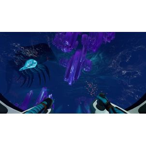 SUBNAUTICA + SUBNAUTICA BELOW ZERO SWITCH OCC