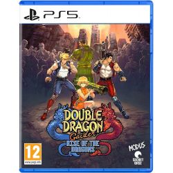 DOUBLE DRAGON GAIDEN: RISE OF THE DRAGONS PS5