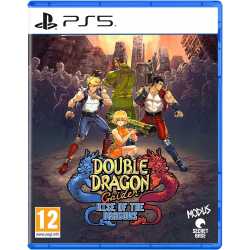 DOUBLE DRAGON GAIDEN: RISE OF THE DRAGONS PS5