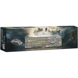 PACK CLAVIER+SOURIS GAMING RETROECLAIRES HOGWARTSLEGACY HARRY POTTER- (COMPATIBLE PS4)