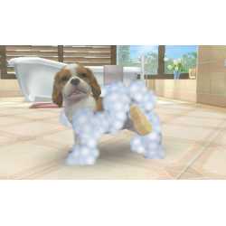 NINTENDOGS AND CATS 3D GOLDEN RETRIEVER 3DS OCC