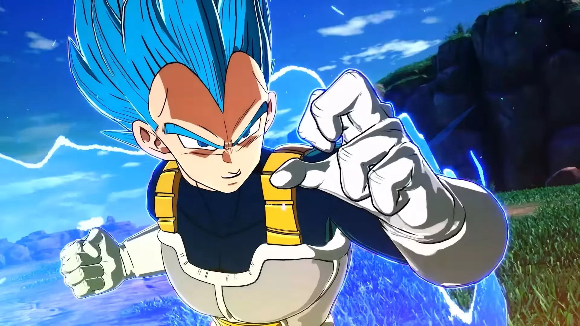 Vegeta (Super Vegeta, Grand Singe Vegeta, Majin Vegeta)