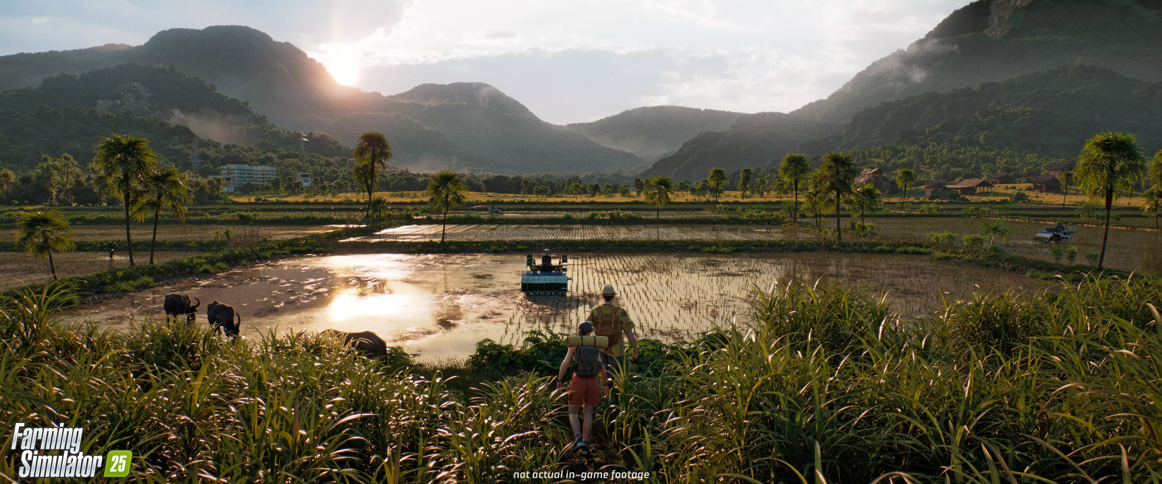 Paysage agricole asiatique avec des buffles