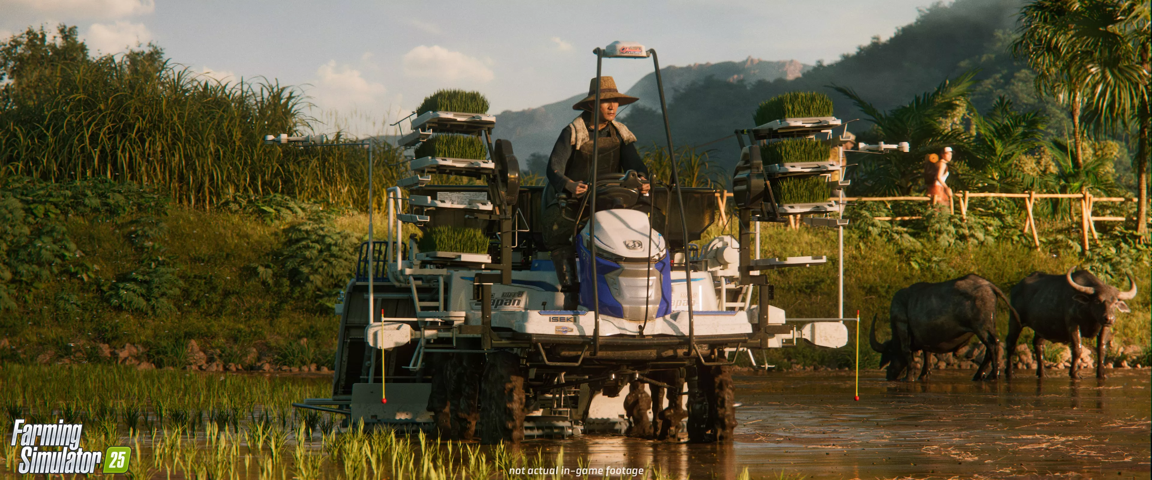 Champs inondés pour la culture du riz
