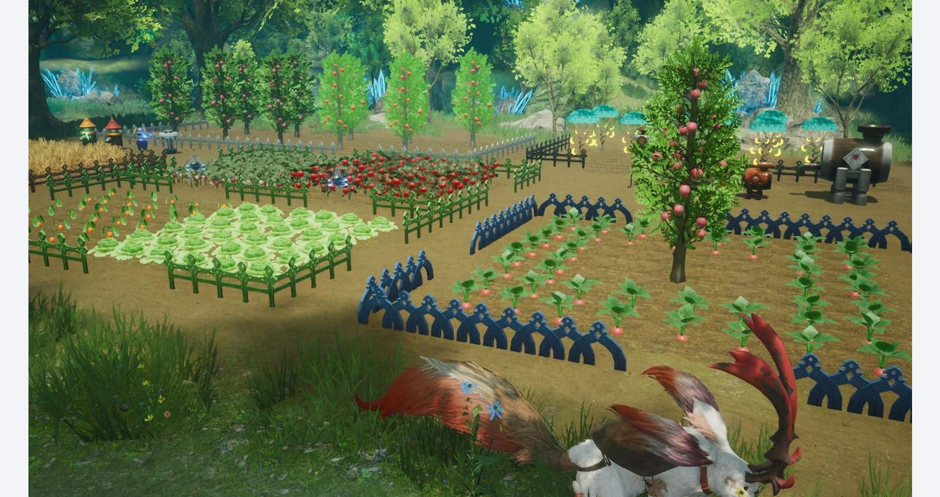 Récoltes et Magie des Saisons