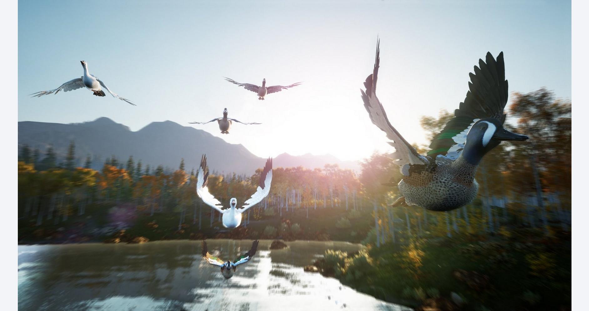 Chassez en harmonie avec la nature