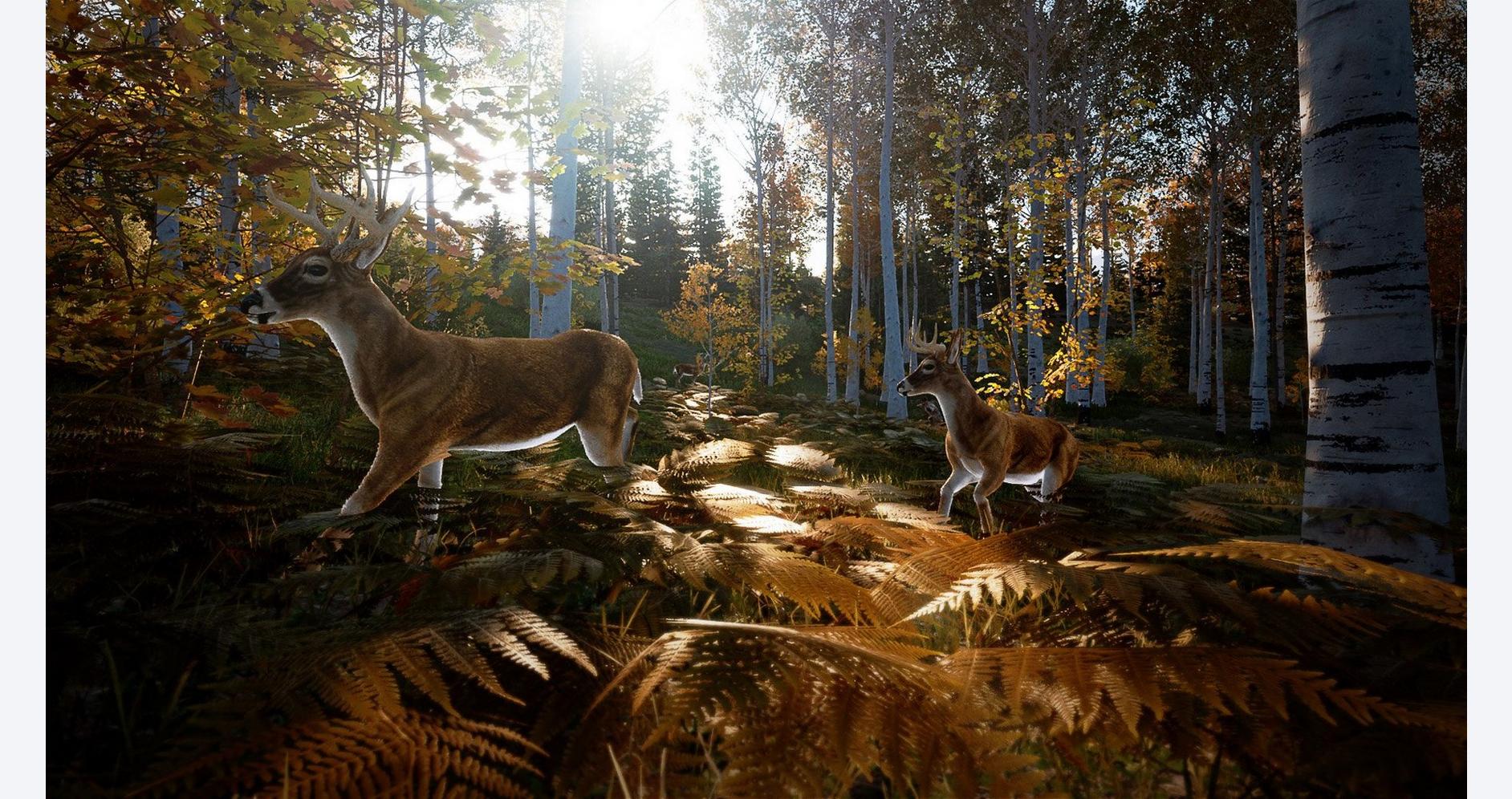Voyage de chasse dans la nature