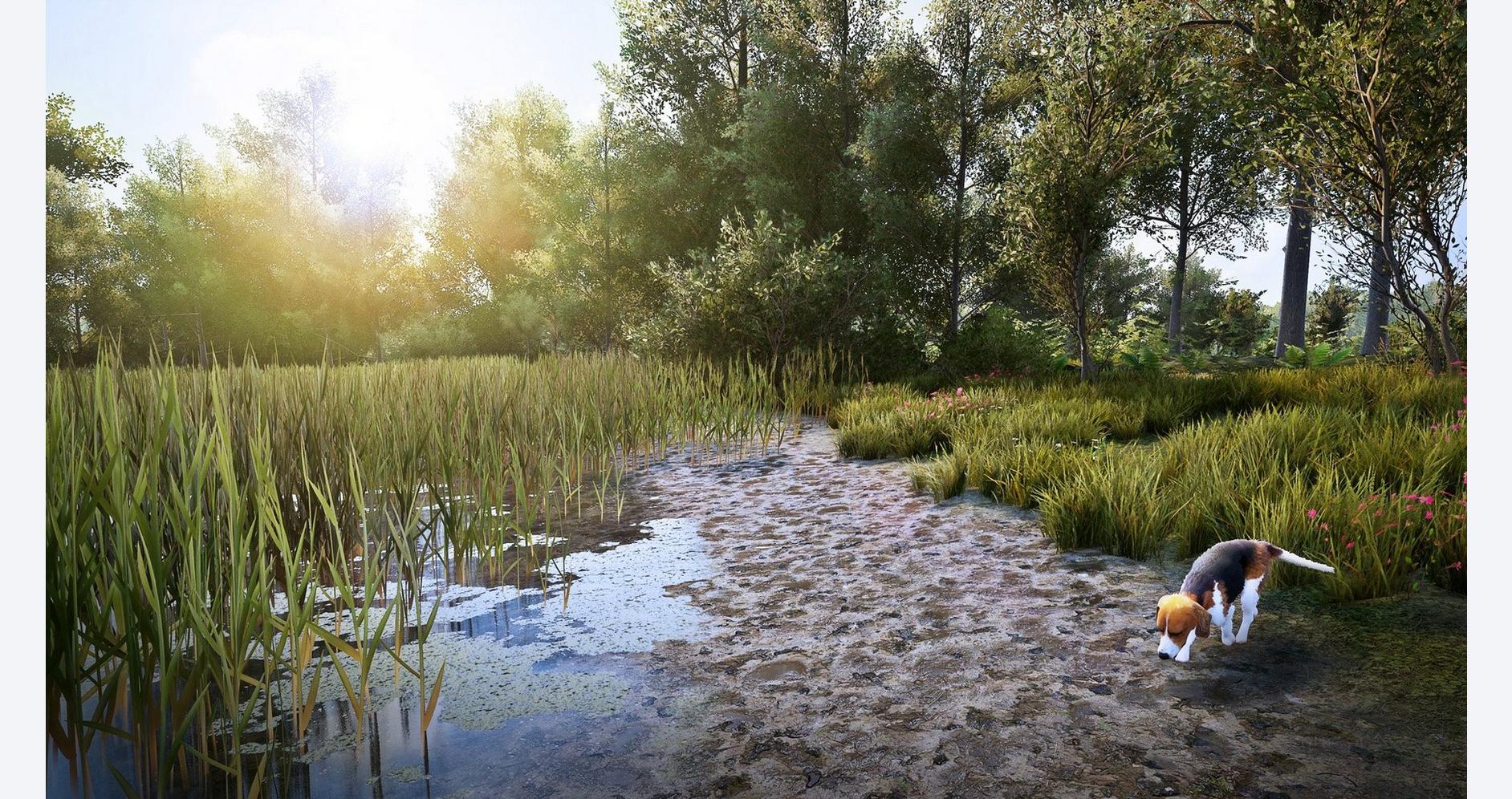 Aventure Sauvage et Immersive