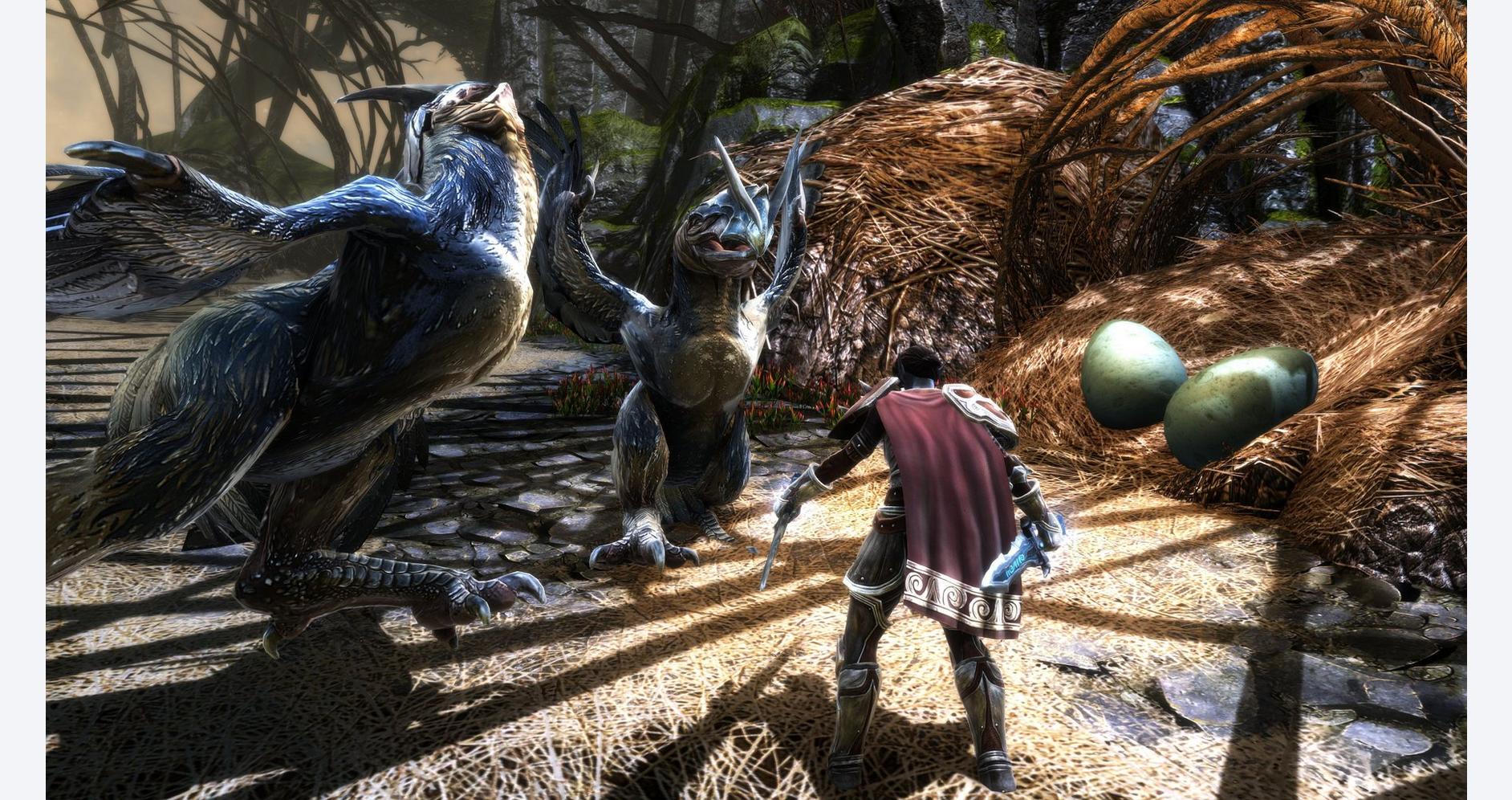 Combattez pour le Destin d'Amalur
