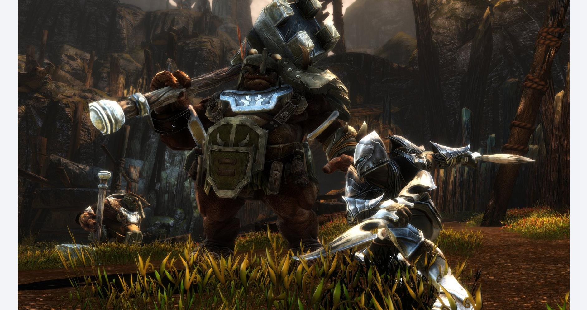 Épopée dans les Terres d'Amalur