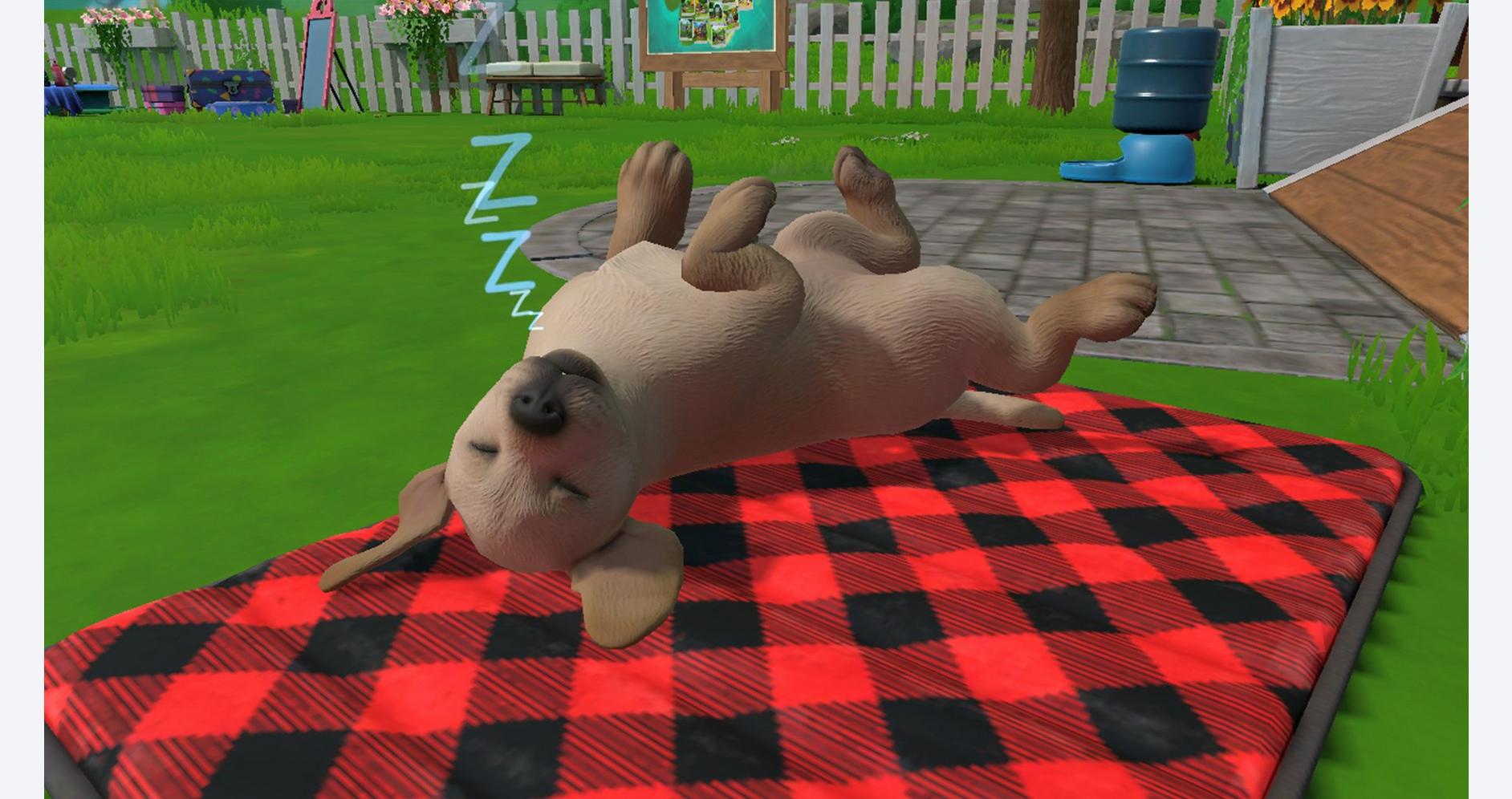 Aventures Canines Inoubliables