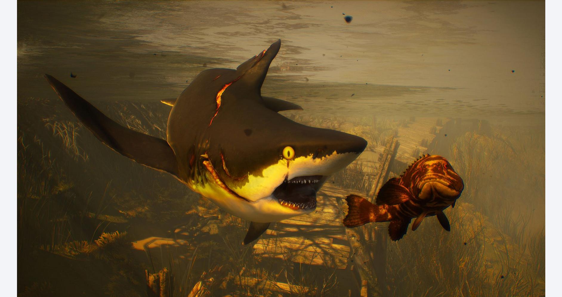 Requin dominant les profondeurs sauvages