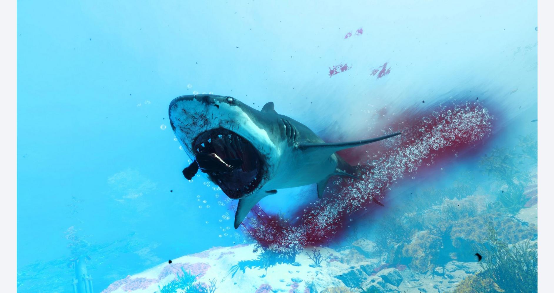 Évolution Sauvage Sous-Marine