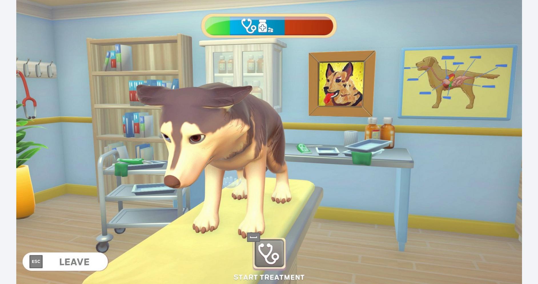 Clinique vétérinaire pour animaux de compagnie