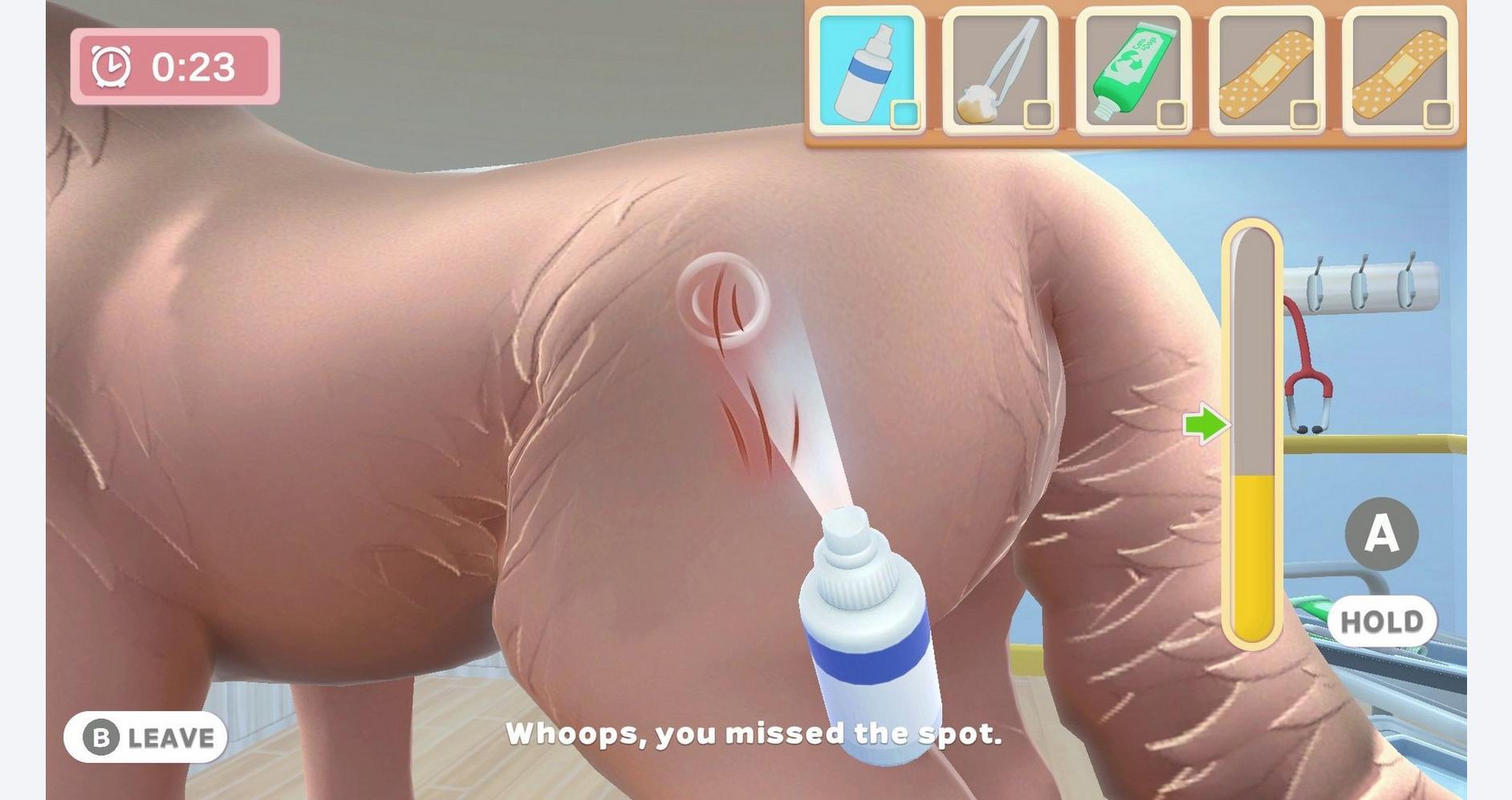 Clinique Animalière en Action