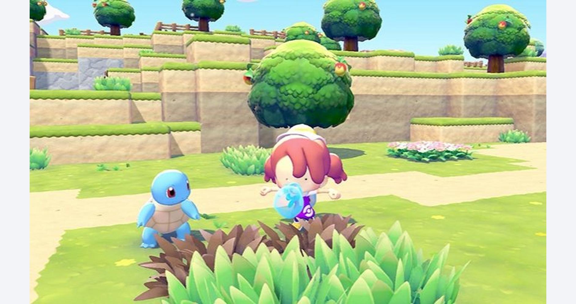 Oasis Pokémon en Évolution