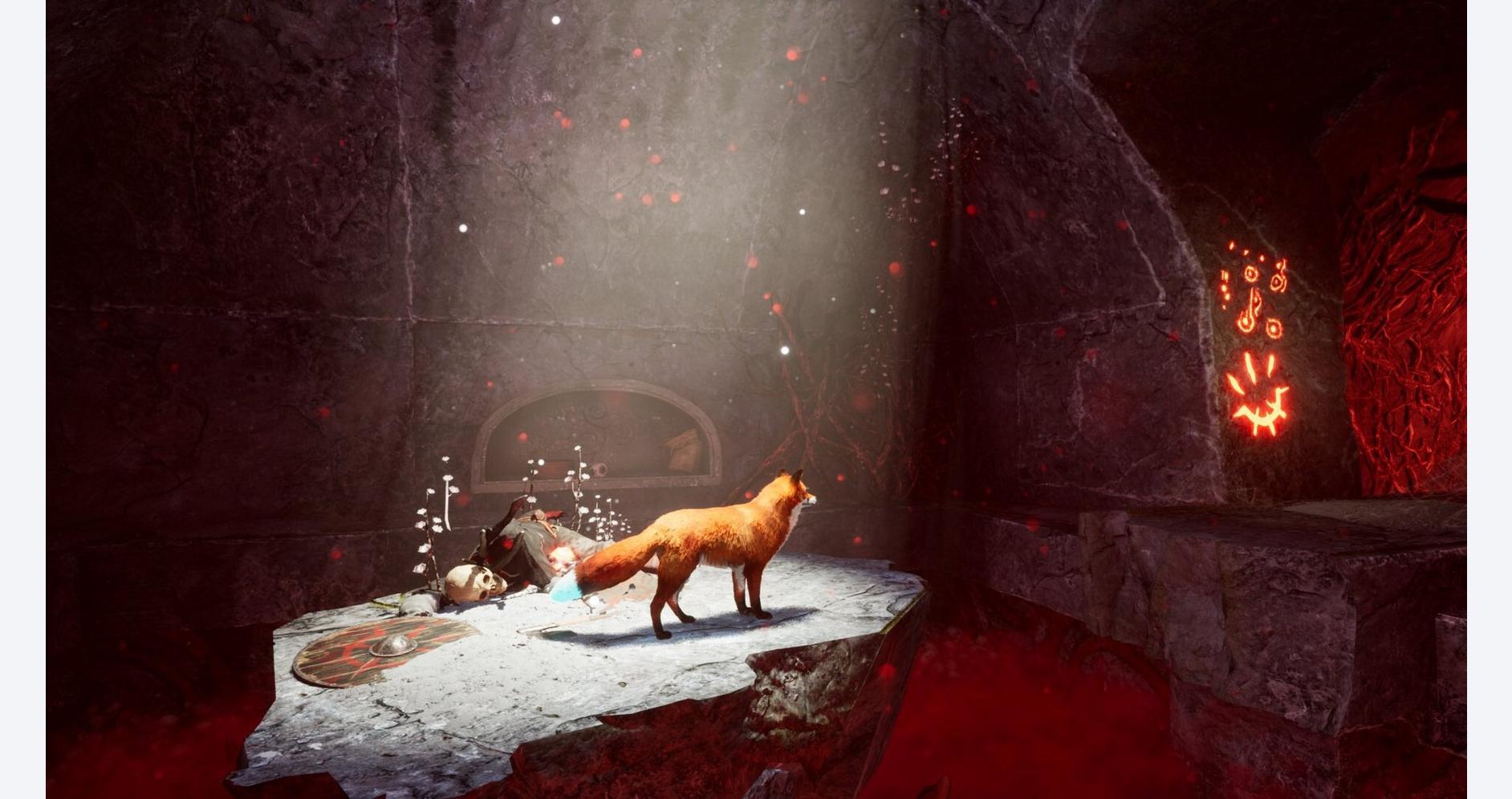 Renard traversant des terres ensorcelées