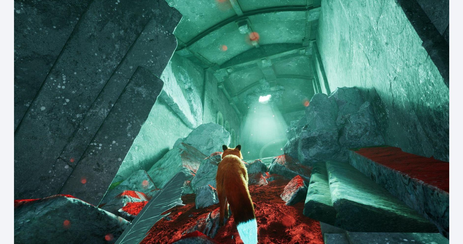 Renard explorant des ruines anciennes