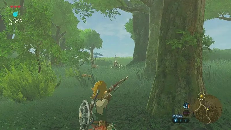 Chasse et cueillette