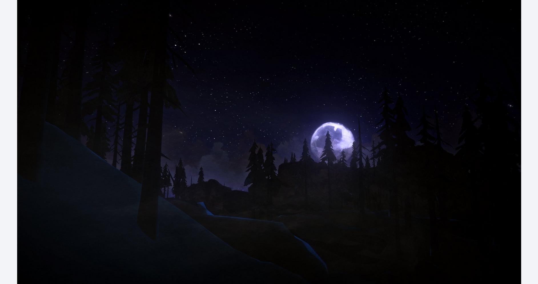 Évasion nocturne sauvage