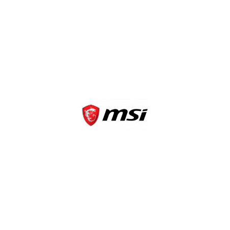 MSI